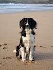 DSC00007.JPG