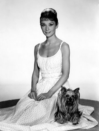 [Audrey-Hepburn-6%255B3%255D.jpg]