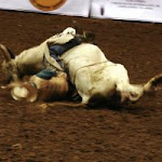 Rodeo