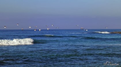 [P1060295%255B5%255D.jpg]