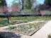 Mt Vernon in Spring