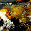 water1.jpg