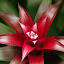 At the Botanic Garden - Wellington, New Zealand