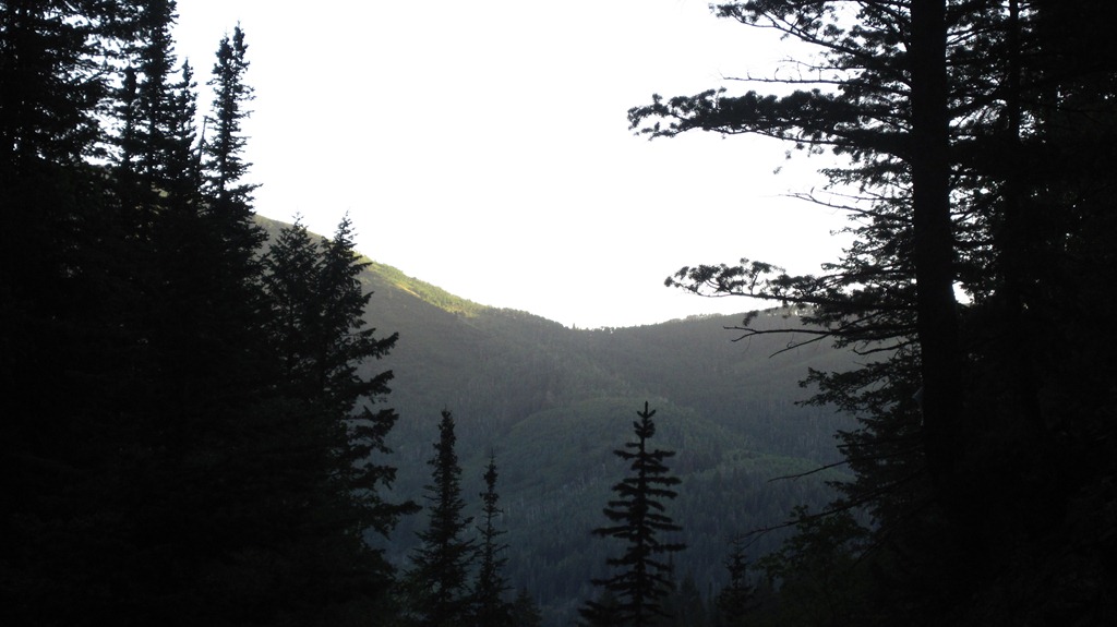 [IMG_43225.jpg]