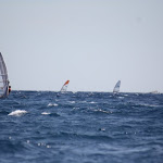 IMG_3559.JPG