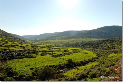 Judean hills near Debir, Khirbet Rabud, tb030407777