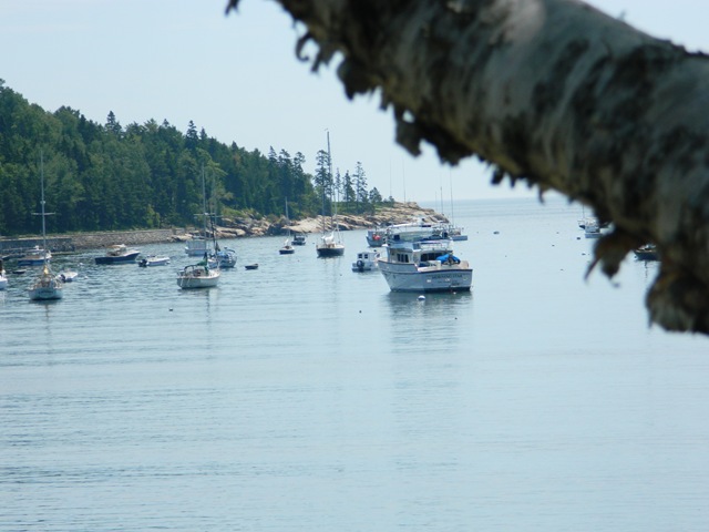 [coast%25202011%2520009%255B3%255D.jpg]