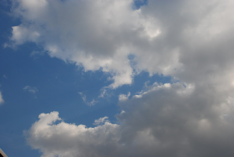 hokkaido_819.jpg