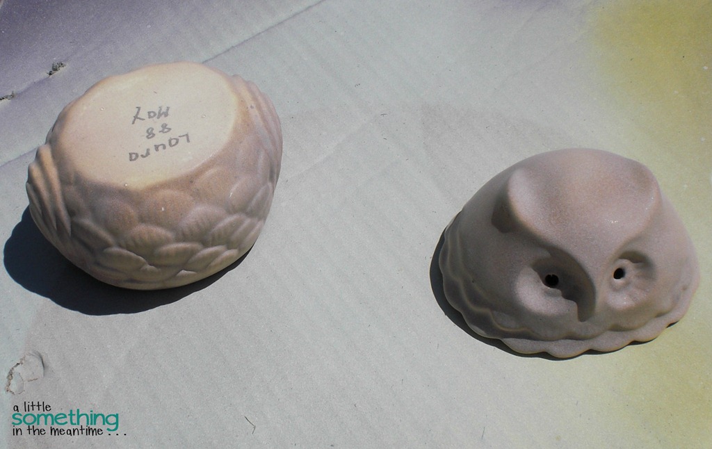 [Owl%2520Primer%2520WM%255B6%255D.jpg]