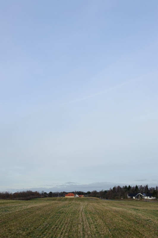 DSC_7170