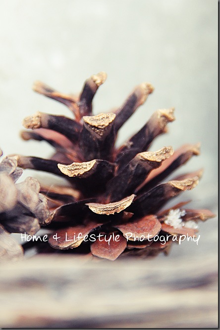 Home & Lifestyle Home & Lifestyle