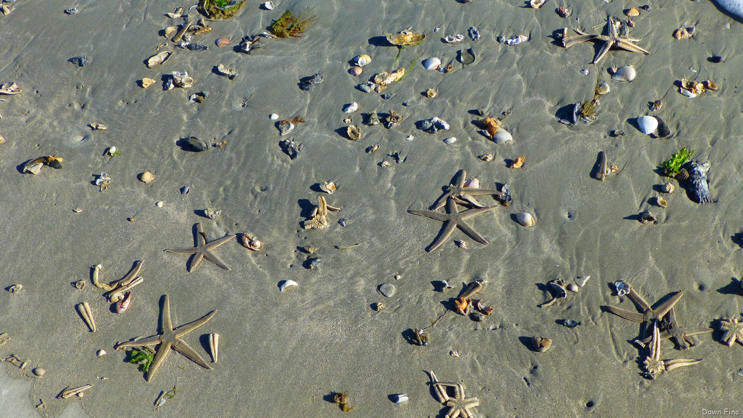[Causeway%2520and%2520North%2520Beach_055%255B4%255D.jpg]