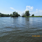 IMG_7785.JPG