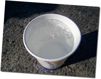 WP_000836