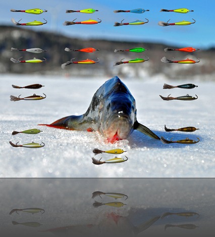 ÄSSÄ Fiskewebben ÄSSÄ Fiskewebben