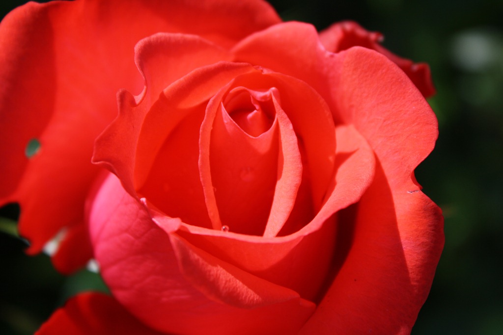 [IMG_2412%255B11%255D.jpg]