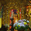 DSCN7780.JPG