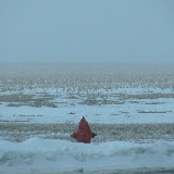 "Winter Field" - copyright Pete Witte