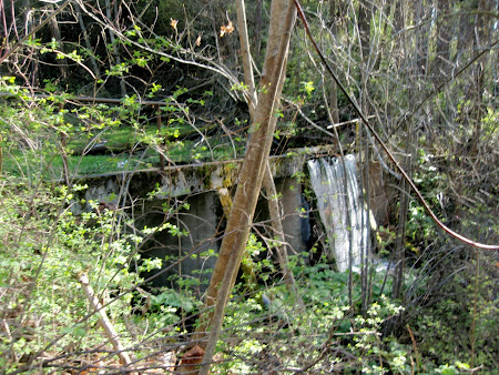 P4212502.JPG
