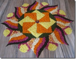 star flower star flower