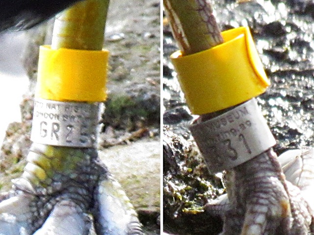 [Kirkcaldy%255B4%255D.jpg]