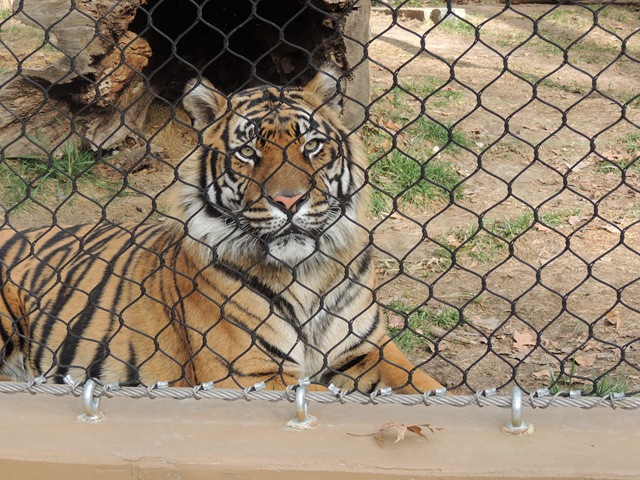 [DSCN1072%255B3%255D.jpg]