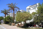 Фото 10 Grand Sharm Resort