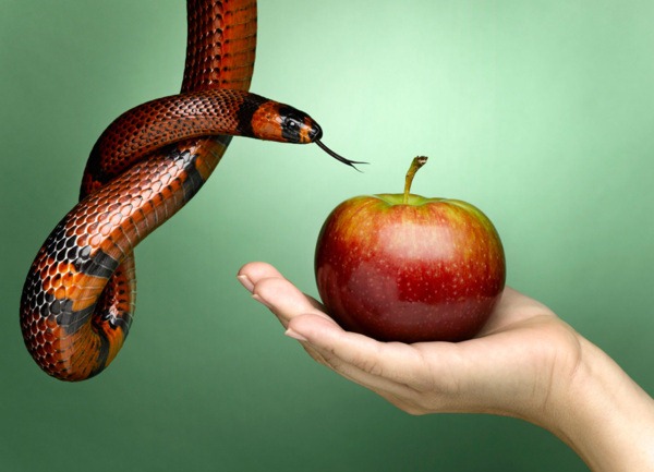 [Traicao%255B3%255D.jpg]