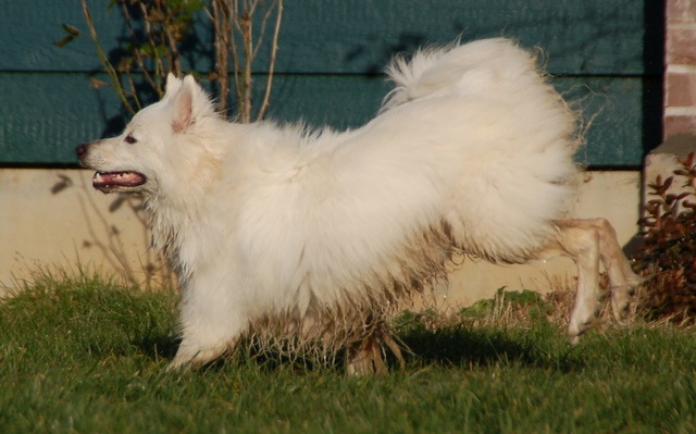 [DSC_5056%255B4%255D.jpg]