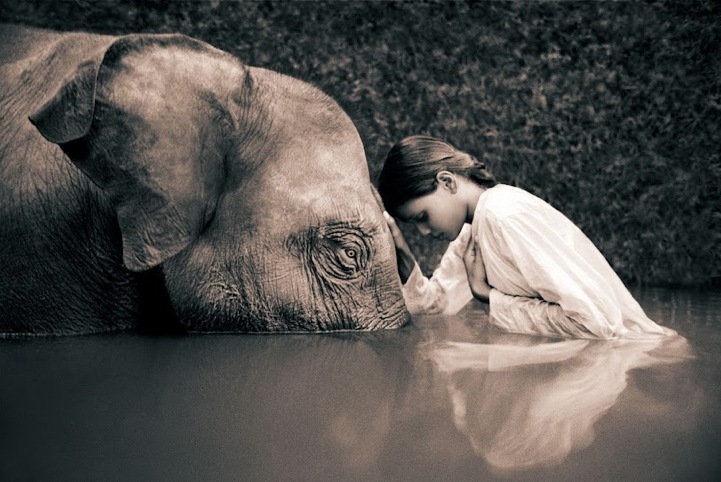 [gregory_colbert.jpg]
