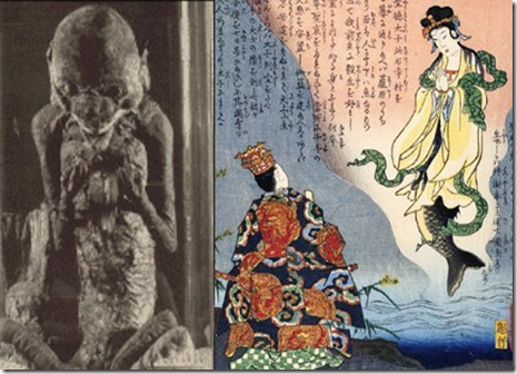 Secta sintoísta de Fijinomiya Secta sintoísta de Fijinomiya