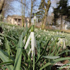 dsc07436.jpg