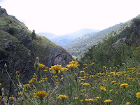 IMG_4787.JPG Photo