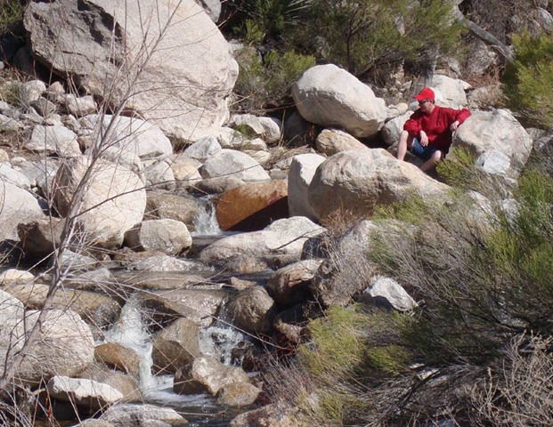 [DSC05112%255B4%255D.jpg]