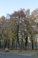 IMG_0098.JPG