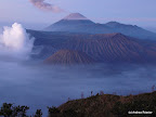 Bromo