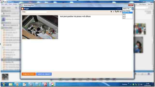 kucing kucing