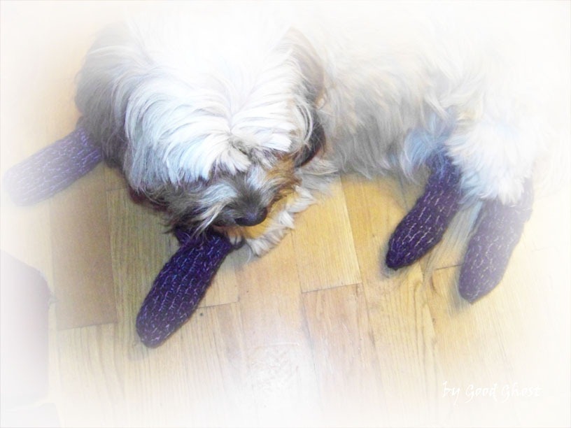 [100_1344%255B3%255D.jpg]