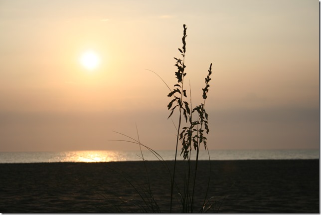 IMG_8735 IMG_8735
