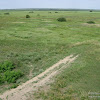 Park Narodowy "Ujście Warty" -wieża widokowa: widok z góry dsc05793.jpg