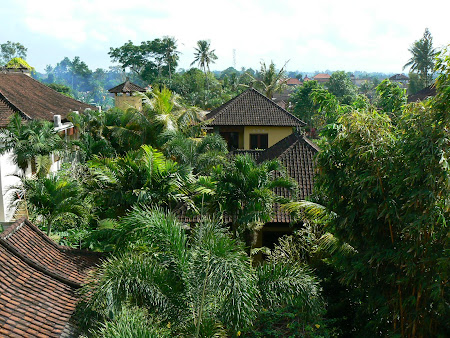 Panoramic view of the guesthouse