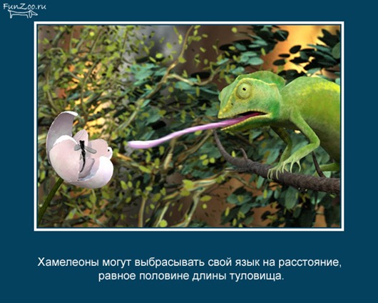 [clip_image002%255B3%255D.jpg]