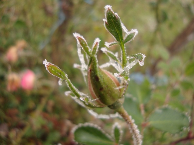 [DSC06802%255B4%255D.jpg]
