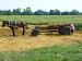 P1090886.JPG