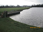 Something has materialised at The Lake on this grey January morning