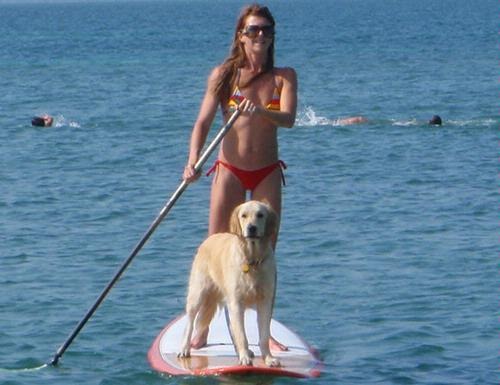 [lg_Yoga-Paddle-Boarding-in-Miami%255B3%255D.jpg]