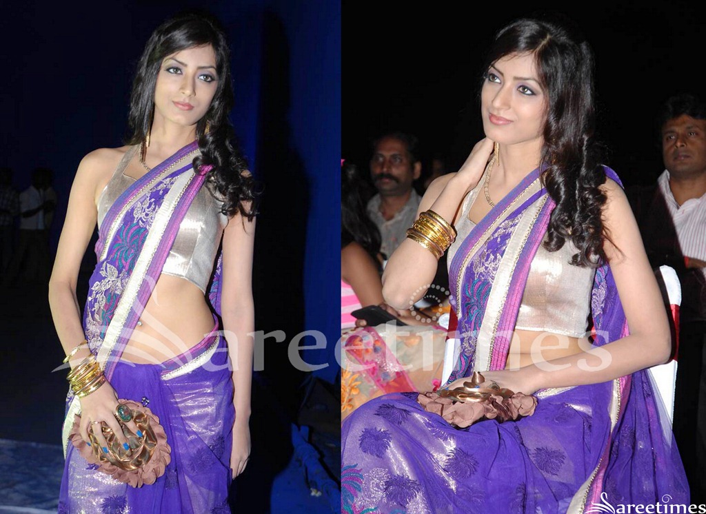 [Ruby_Parihar_Blue_Net_Saree%255B4%255D.jpg]