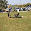 IMG_3144.JPG