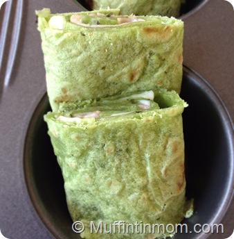ham and cheese tortilla roll up ham and cheese tortilla roll up