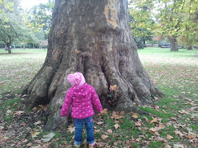 2010-10-23 11.28.11.jpg